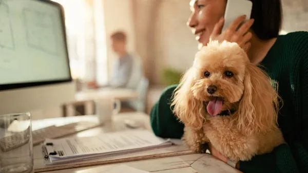 So, you got a puppy. Congratulations! You are now the proud owner of a bundle of joy, sharp teeth, and future vet bills.